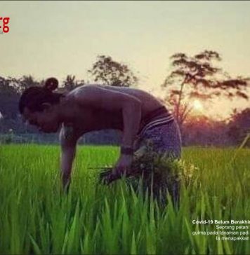 Covid-19 Belum Berakhir Pangan