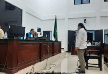 Lpm Lintas Pengadilan